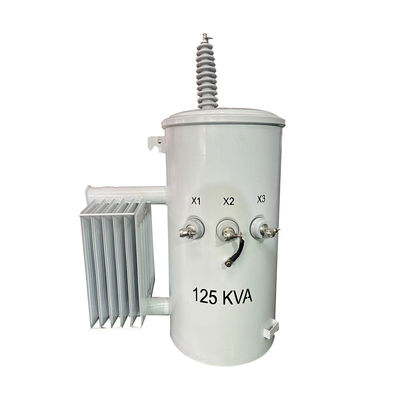Eenfasige overheadverdelingstransformer 34500GrdY/19920 tot 120/240V voldoet aan ANSI/IEEE-normen